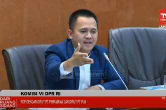 DPR RI